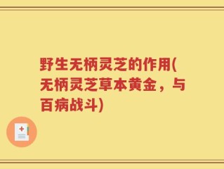 野生无柄灵芝的作用(无柄灵芝草本黄金，与百病战斗)