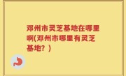 邓州市灵芝基地在哪里啊(邓州市哪里有灵芝基地？)