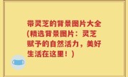 带灵芝的背景图片大全(精选背景图片：灵芝赋予的自然活力，美好生活在这里！)