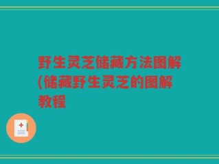野生灵芝储藏方法图解(储藏野生灵芝的图解教程