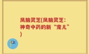 凤脑灵芝(凤脑灵芝：神奇中药的新“宠儿”)