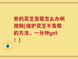 养的灵芝发霉怎么办啊视频(保护灵芝不发霉的方法，一分钟get！)