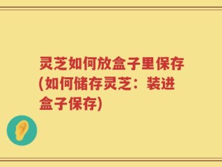 灵芝如何放盒子里保存(如何储存灵芝：装进盒子保存)