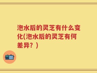 泡水后的灵芝有什么变化(泡水后的灵芝有何差异？)