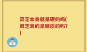 灵芝本身就是硬的吗(灵芝真的是硬质的吗？)