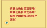 宾县北极杉灵芝基地(宾县北极杉灵芝基地：探秘中国珍稀药材生产源头)