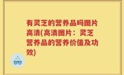 有灵芝的营养品吗图片高清(高清图片：灵芝营养品的营养价值及功效)