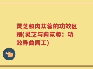 灵芝和肉苁蓉的功效区别(灵芝与肉苁蓉：功效异曲同工)
