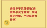 安徽阜平灵芝基地(安徽阜平灵芝基地：珍稀灵芝种植，产业扶贫大计划)
