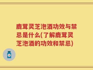 鹿茸灵芝泡酒功效与禁忌是什么(了解鹿茸灵芝泡酒的功效和禁忌)