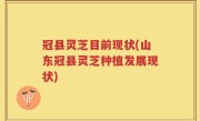 冠县灵芝目前现状(山东冠县灵芝种植发展现状)
