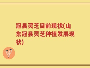 冠县灵芝目前现状(山东冠县灵芝种植发展现状)