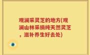 观澜采灵芝的地方(观澜山林采摘纯天然灵芝，滋补养生好去处)