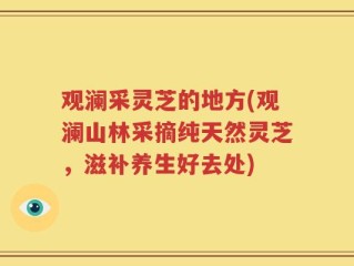 观澜采灵芝的地方(观澜山林采摘纯天然灵芝，滋补养生好去处)