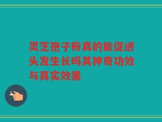 灵芝孢子粉真的能促进头发生长吗其神奇功效与真实效果