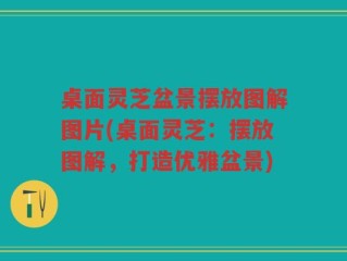 桌面灵芝盆景摆放图解图片(桌面灵芝：摆放图解，打造优雅盆景)