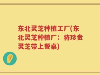 东北灵芝种植工厂(东北灵芝种植厂：将珍贵灵芝带上餐桌)
