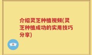 介绍灵芝种植视频(灵芝种植成功的实用技巧分享)