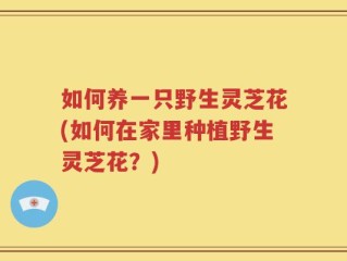 如何养一只野生灵芝花(如何在家里种植野生灵芝花？)