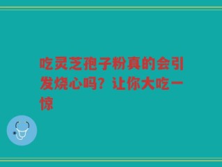 吃灵芝孢子粉真的会引发烧心吗？让你大吃一惊