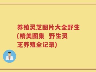 养殖灵芝图片大全野生(精美图集  野生灵芝养殖全记录)