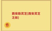 西安路灵芝(西安灵芝之旅)