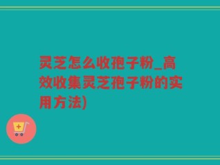 灵芝怎么收孢子粉_高效收集灵芝孢子粉的实用方法)