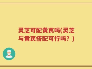 灵芝可配黄芪吗(灵芝与黄芪搭配可行吗？)