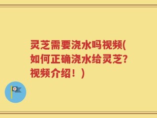 灵芝需要浇水吗视频(如何正确浇水给灵芝？视频介绍！)