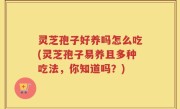 灵芝孢子好养吗怎么吃(灵芝孢子易养且多种吃法，你知道吗？)
