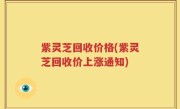 紫灵芝回收价格(紫灵芝回收价上涨通知)