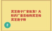 灵芝孢子厂家批发？大形药厂是否收购灵芝和灵芝孢子粉