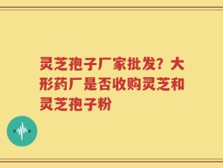 灵芝孢子厂家批发？大形药厂是否收购灵芝和灵芝孢子粉