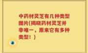 中药材灵芝有几种类型图片(揭晓药材灵芝并非唯一，原来它有多种类型！)