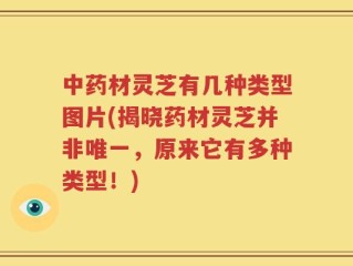 中药材灵芝有几种类型图片(揭晓药材灵芝并非唯一，原来它有多种类型！)
