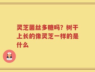 灵芝菌丝多糖吗？树干上长的像灵芝一样的是什么