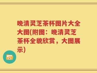 晚清灵芝茶杯图片大全大图(附图：晚清灵芝茶杯全貌欣赏，大图展示)