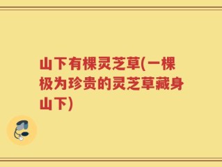 山下有棵灵芝草(一棵极为珍贵的灵芝草藏身山下)