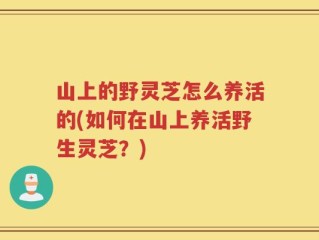 山上的野灵芝怎么养活的(如何在山上养活野生灵芝？)