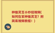 种植灵芝小妙招视频(如何在家种植灵芝？附简易视频教程！)