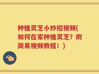种植灵芝小妙招视频(如何在家种植灵芝？附简易视频教程！)