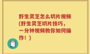 野生灵芝怎么切片视频(野生灵芝切片技巧，一分钟视频教你如何操作！)