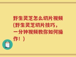 野生灵芝怎么切片视频(野生灵芝切片技巧，一分钟视频教你如何操作！)