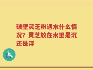 破壁灵芝粉遇水什么情况？灵芝放在水里是沉还是浮