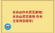 长白山柞木灵芝基地(长白山灵芝基地 柞木之宝待您探寻)