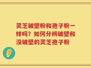 灵芝破壁粉和孢子粉一样吗？如何分辨破壁和没破壁的灵芝孢子粉