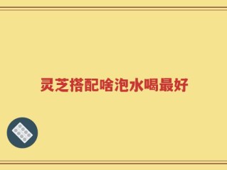 灵芝搭配啥泡水喝最好