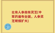 北有人参南有灵芝(中草药遍布全国，人参灵芝规模扩大)