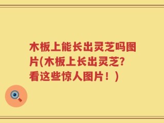 木板上能长出灵芝吗图片(木板上长出灵芝？看这些惊人图片！)