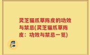 灵芝猫爪草陈皮的功效与禁忌(灵芝猫爪草陈皮：功效与禁忌一览)